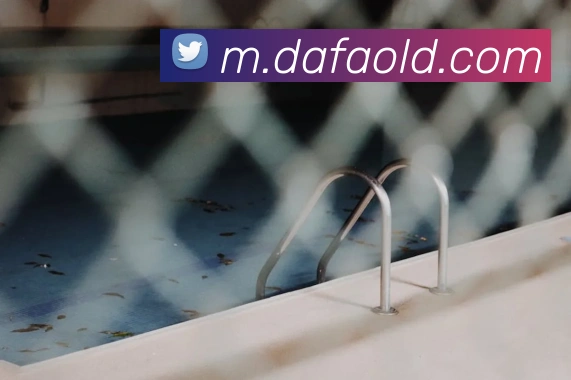 大发官网发展历程